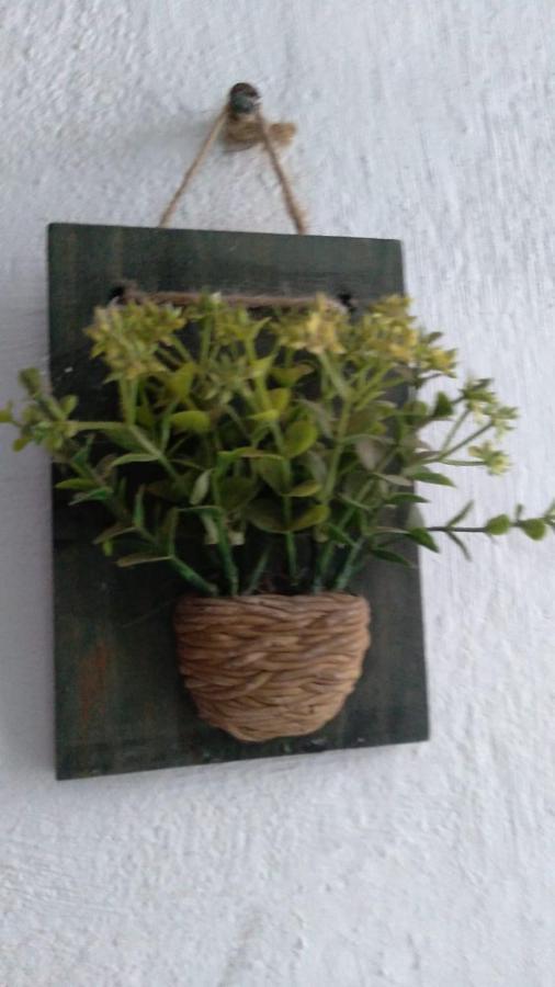 Beco Flores * Jijoca de Jericoacoara